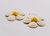 Golden Blooms Straw Earrings - White/Yellow