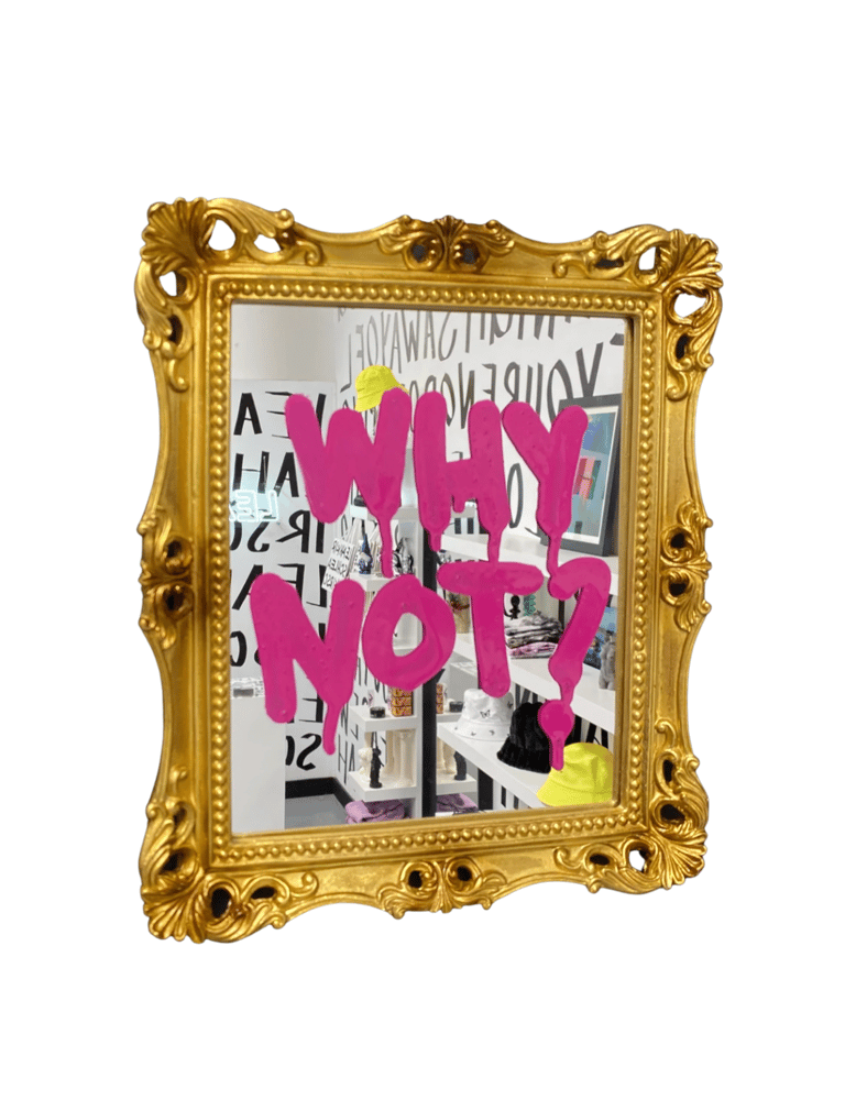 "WHY NOT?" Mirror