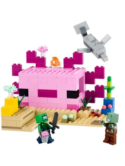 Lego Minecraft The Axolotl House product