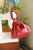 Mariposa Handbag - Rouge