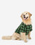Big Dog Black & Green Plaid Pajamas - Green-Black