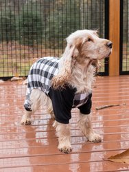 Dog Black & White Plaid Pajamas - Black-White