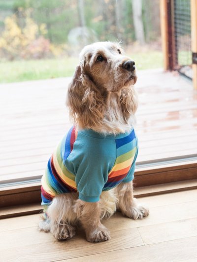 Leveret Dog Cotton Rainbow Boy Stripes Pajamas product