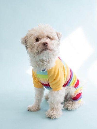Leveret Dog Cotton Rainbow Girl Stripes Pajamas product