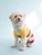 Dog Cotton Rainbow Girl Stripes Pajamas - Rainbow-Girlstripes