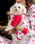 Dog Cotton Reindeer Pajamas