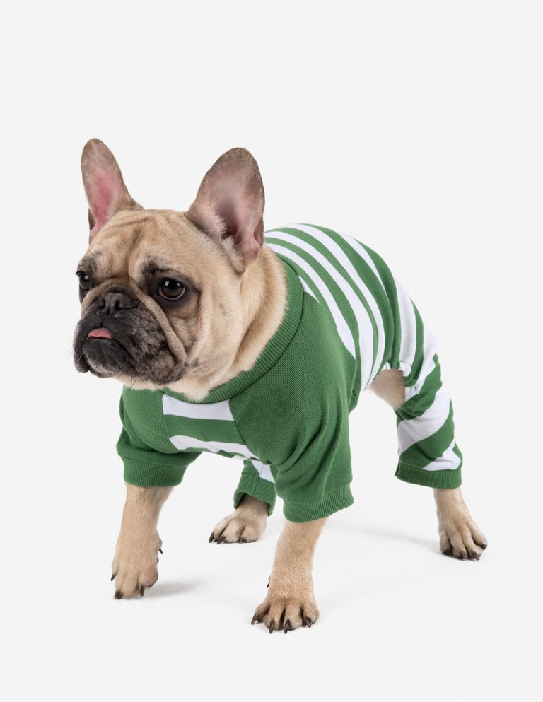 Dog Green & White Stripes Pajamas - Green-White