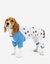 Dog Hanukkah Menorah Cotton Pajamas - Menorah-Blue