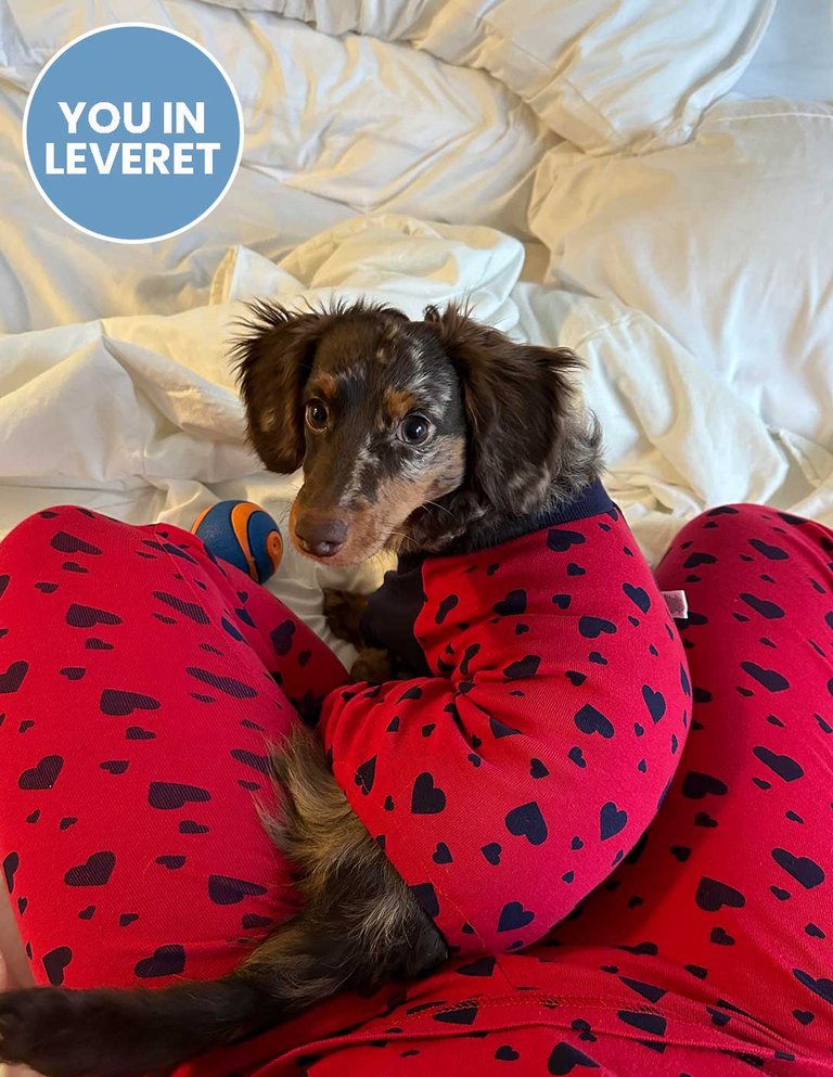Dog Hearts Pajama