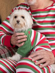 Dog Red White & Green Stripes Cotton Pajamas - Red-White-Green