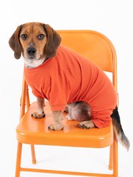 Dogs Solid Classic Color Pajamas
