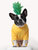 Dogs Solid Classic Color Pajamas