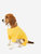 Dogs Solid Classic Color Pajamas - Yellow