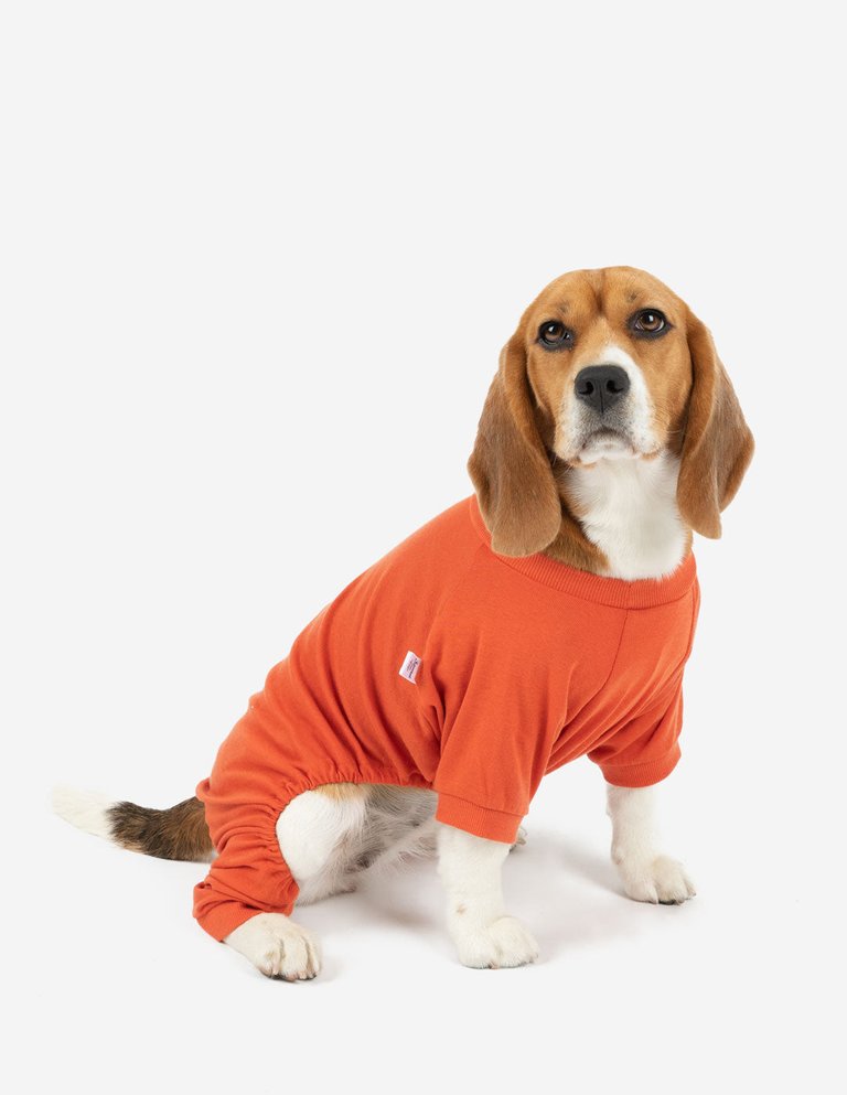 Dogs Solid Classic Color Pajamas - Orange