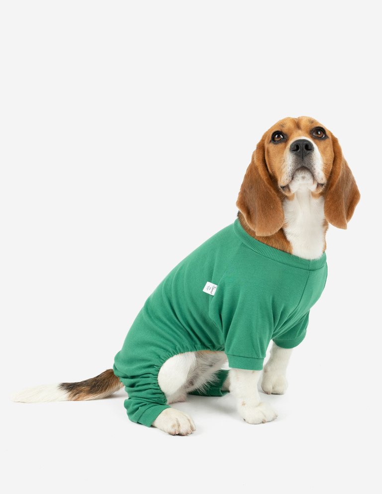 Dogs Solid Classic Color Pajamas - Green
