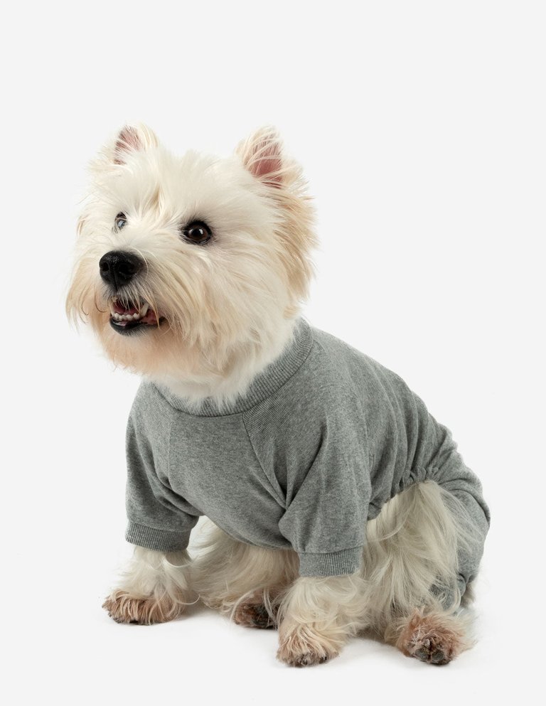 Dogs Solid Color Light Grey Pajamas - Light-Grey