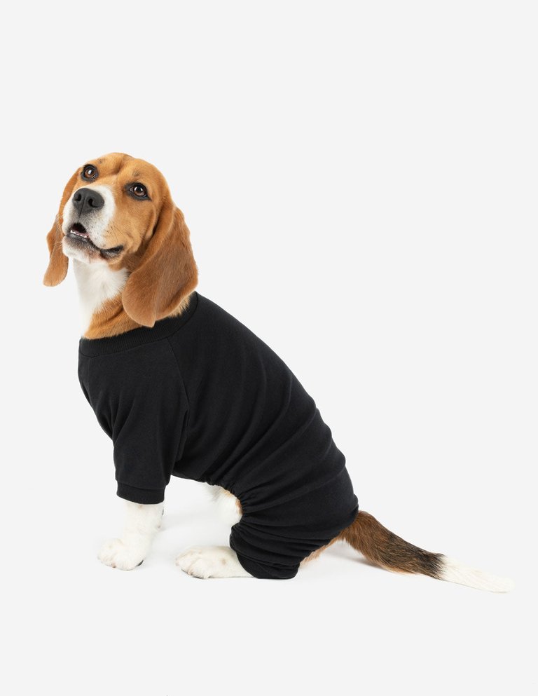 Dogs Solid Color Neutral Pajamas - Black