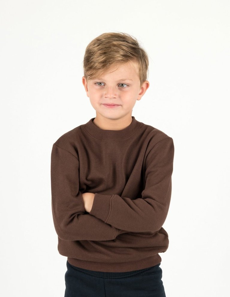 Neutral Solid Color Pullover Sweatshirt - Brown