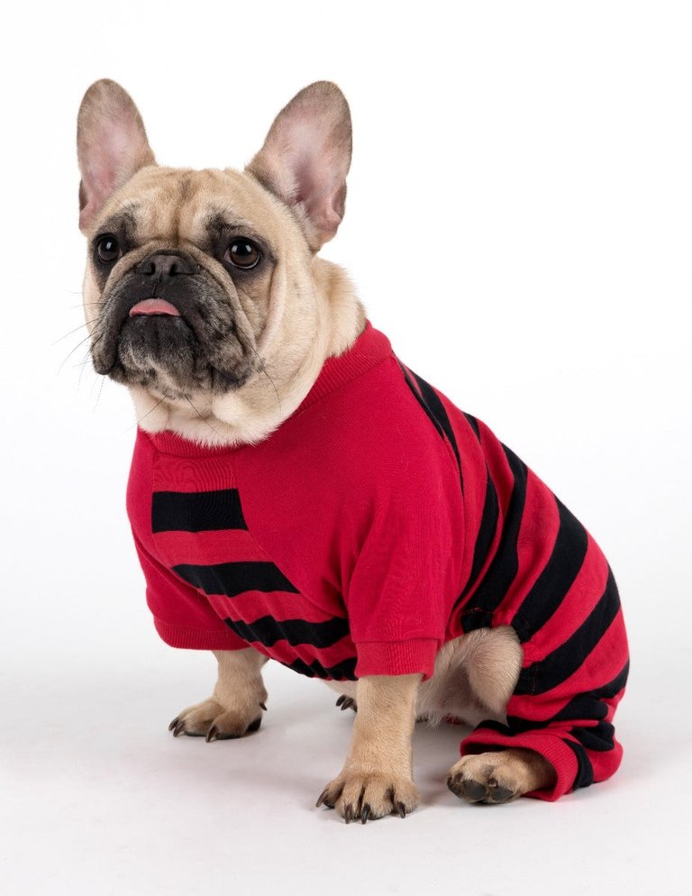 Striped Pajamas For Dog - Red-Black
