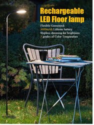 Lumos LED Rechargeable Battery Operated Reading Floor Lamp