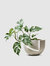 Vayu Ceramic Planter, Drainage with Tray