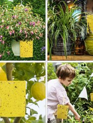 6 x 8" Yellow Sticky Traps for Flying Plant Insects Flies Gnats Whiteflies Aphids Pests