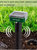 8" Green Outdoor Solar Mole Gopher Groundhug Repeller - 8 Pks