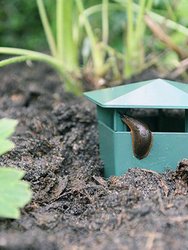 Green Slug Snail Trap - 4 pcs