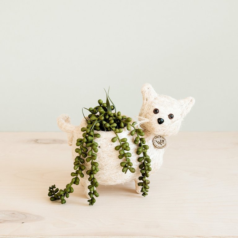 Baby Cat Planter - Handmade Pot - White
