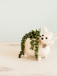 Baby Cat Planter - Handmade Pot