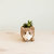 Baby Corgi Succulent Pot - Handmade Planters