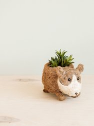 Baby Corgi Succulent Pot - Handmade Planters - Natural & White