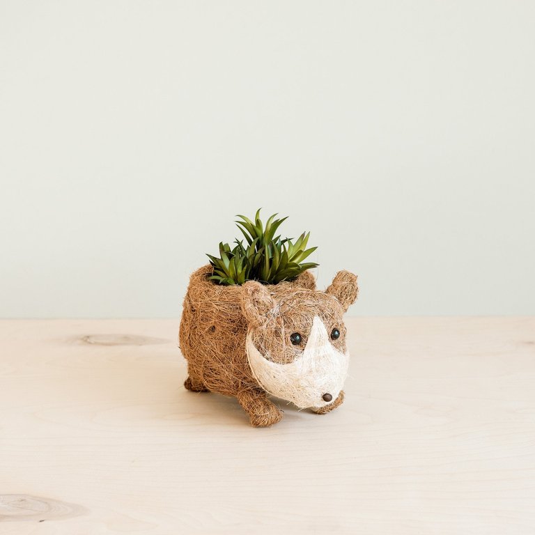 Baby Corgi Succulent Pot - Handmade Planters - Natural & White