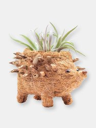 Baby Hedgehog Plant Pot - Handmade Planters