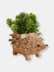 Baby Hedgehog Plant Pot - Handmade Planters