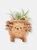 Baby Hedgehog Plant Pot - Handmade Planters