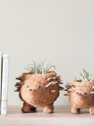 Baby Hedgehog Plant Pot - Handmade Planters - Natural and White