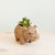 Baby Hippo Plant Pot - Handmade Pots - Natural