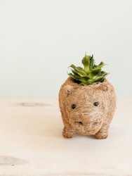 Baby Hippo Plant Pot - Handmade Pots