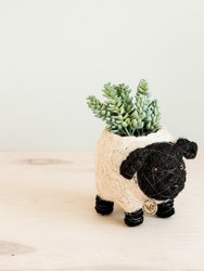 Baby Sheep Planter - Coco Coir Pots