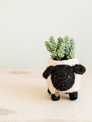 Baby Sheep Planter - Coco Coir Pots