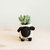 Baby Sheep Planter - Coco Coir Pots