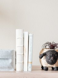 Baby Sheep Planter - Coco Coir Pots - Natural and White