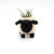 Baby Sheep Planter - Coco Coir Pots