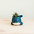 Baby Whale Flower Pot - Coco Coir Pots