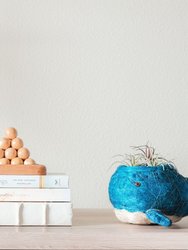 Baby Whale Flower Pot - Coco Coir Pots - Natural and White