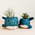 Baby Whale Flower Pot - Coco Coir Pots