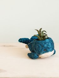Baby Whale Flower Pot - Coco Coir Pots