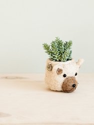 Bear Planter - Animal Head Planters