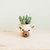 Bear Planter - Animal Head Planters - Natural and White